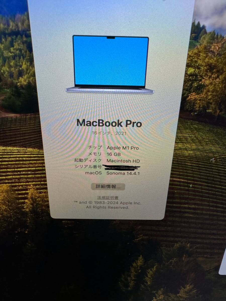 MacBookPro 16インチ 1TB M1 Pro 16GB USキーの画像6