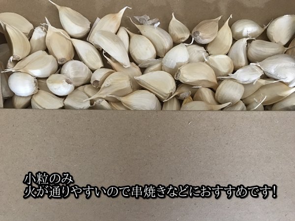 【わけあり品・小粒のみ】青森県産ホワイト六片種にんにく バラ 500g 令和5年度産【高糖度】の画像3