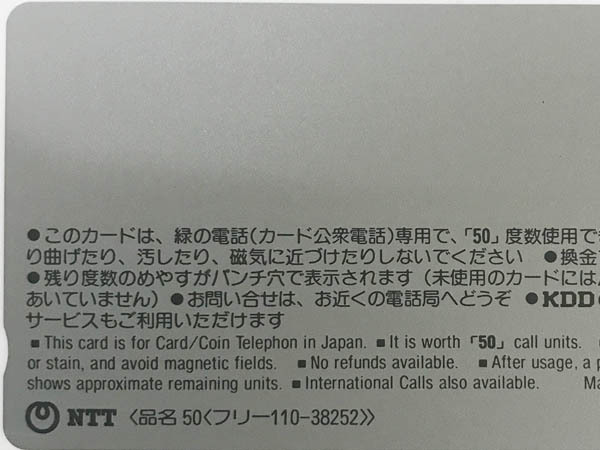 Sその他◇かとうれいこ ベストカメラ グラビア テレカ 1枚 未使用◇G88の画像5