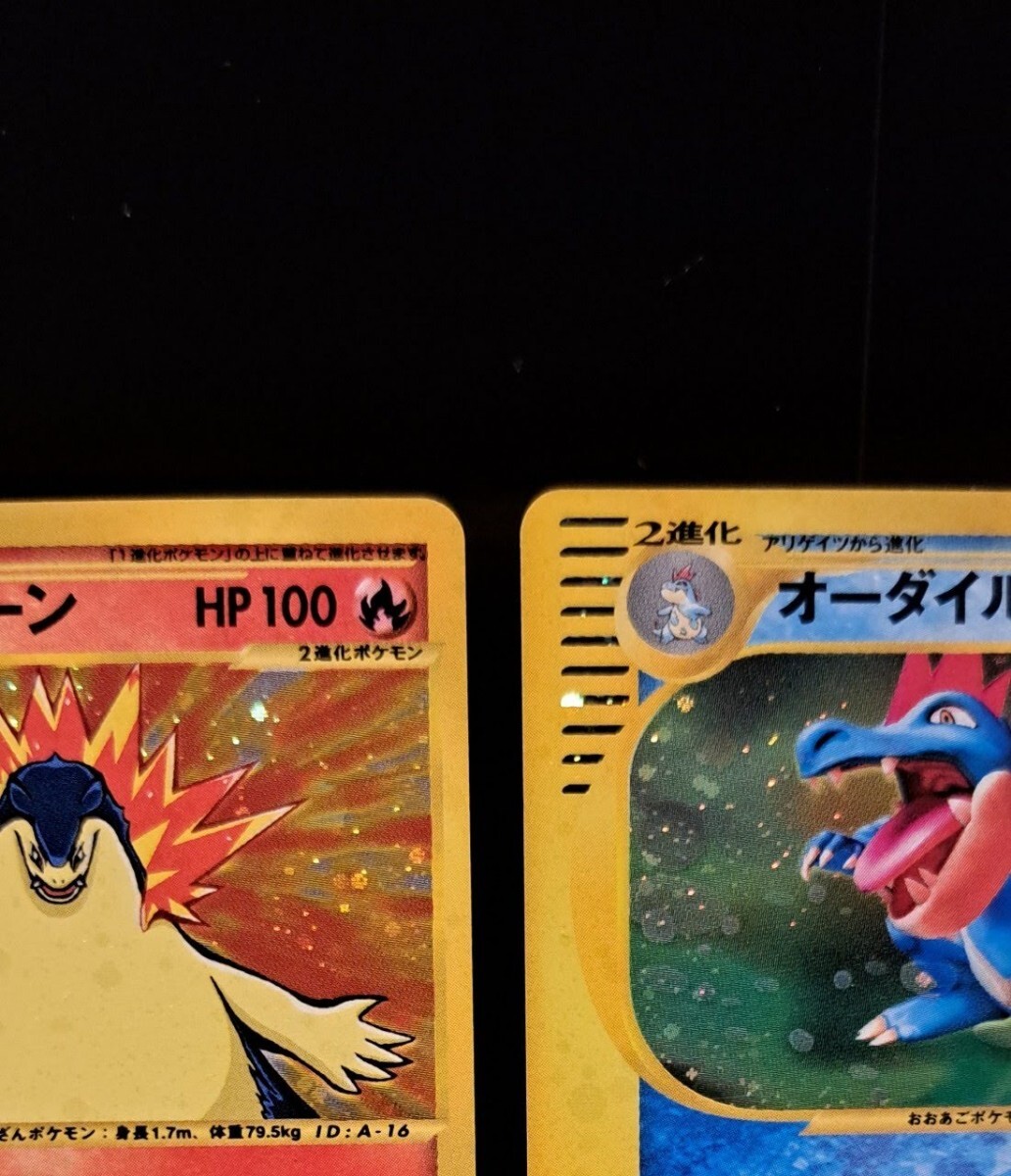 メガニウム オーダイル バクフーン トリプルゲット キャンペーン メガニウム オーダイル バクフーン トリプルゲット キャンペーン