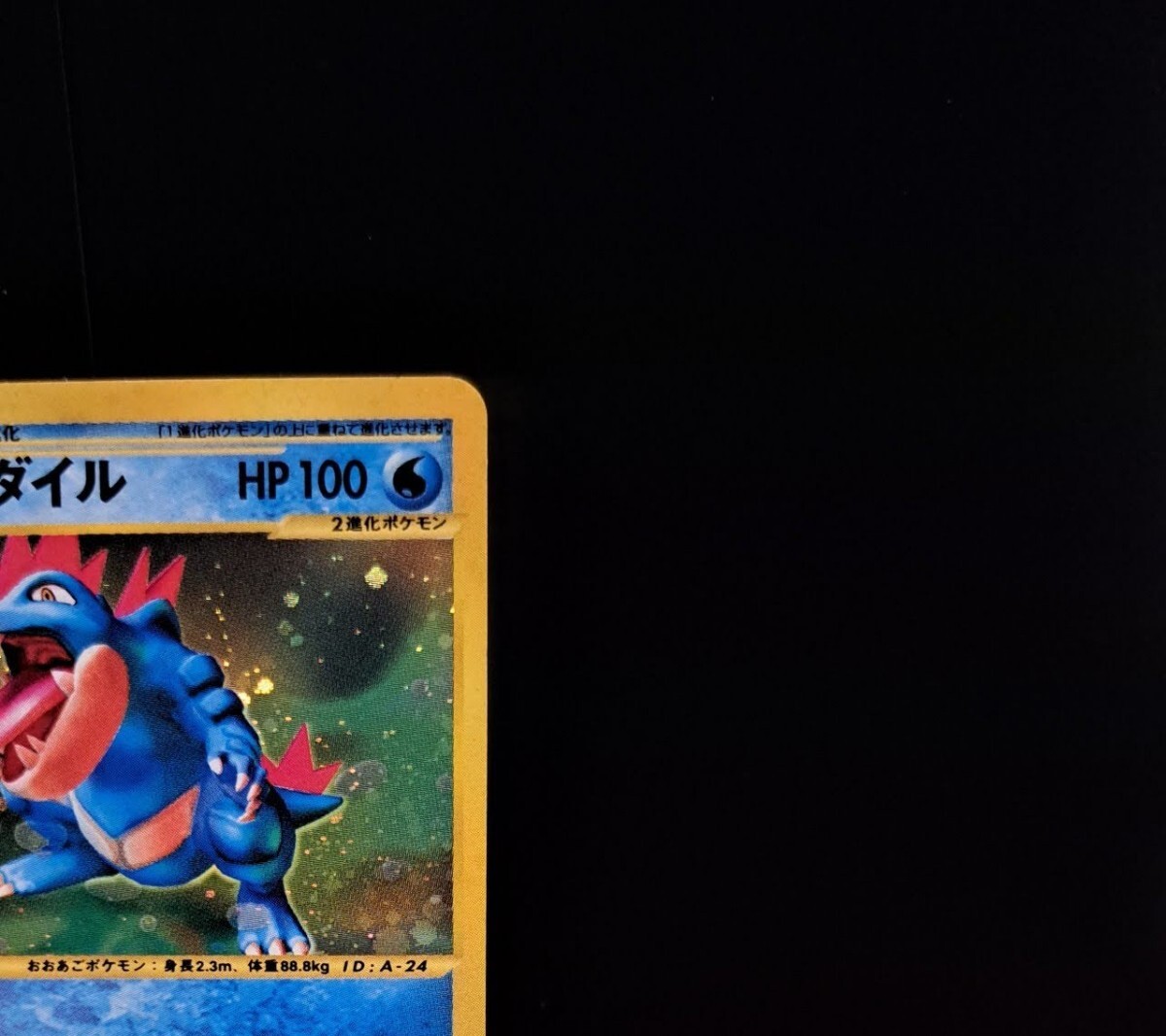 メガニウム オーダイル バクフーン トリプルゲット キャンペーン メガニウム オーダイル バクフーン トリプルゲット キャンペーン