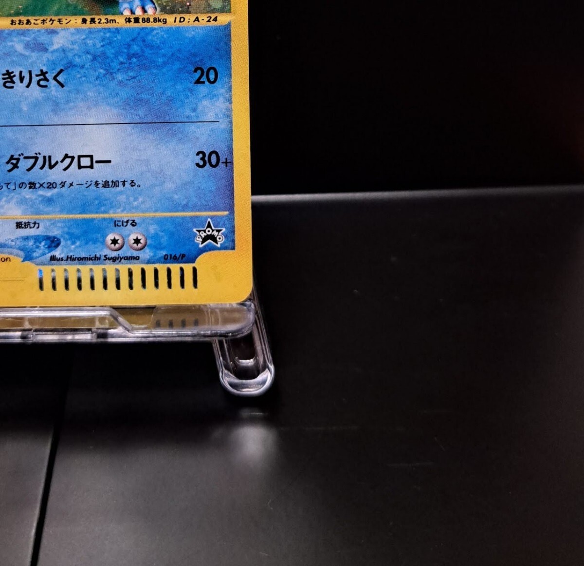 メガニウム オーダイル バクフーン トリプルゲット キャンペーン メガニウム オーダイル バクフーン トリプルゲット キャンペーン
