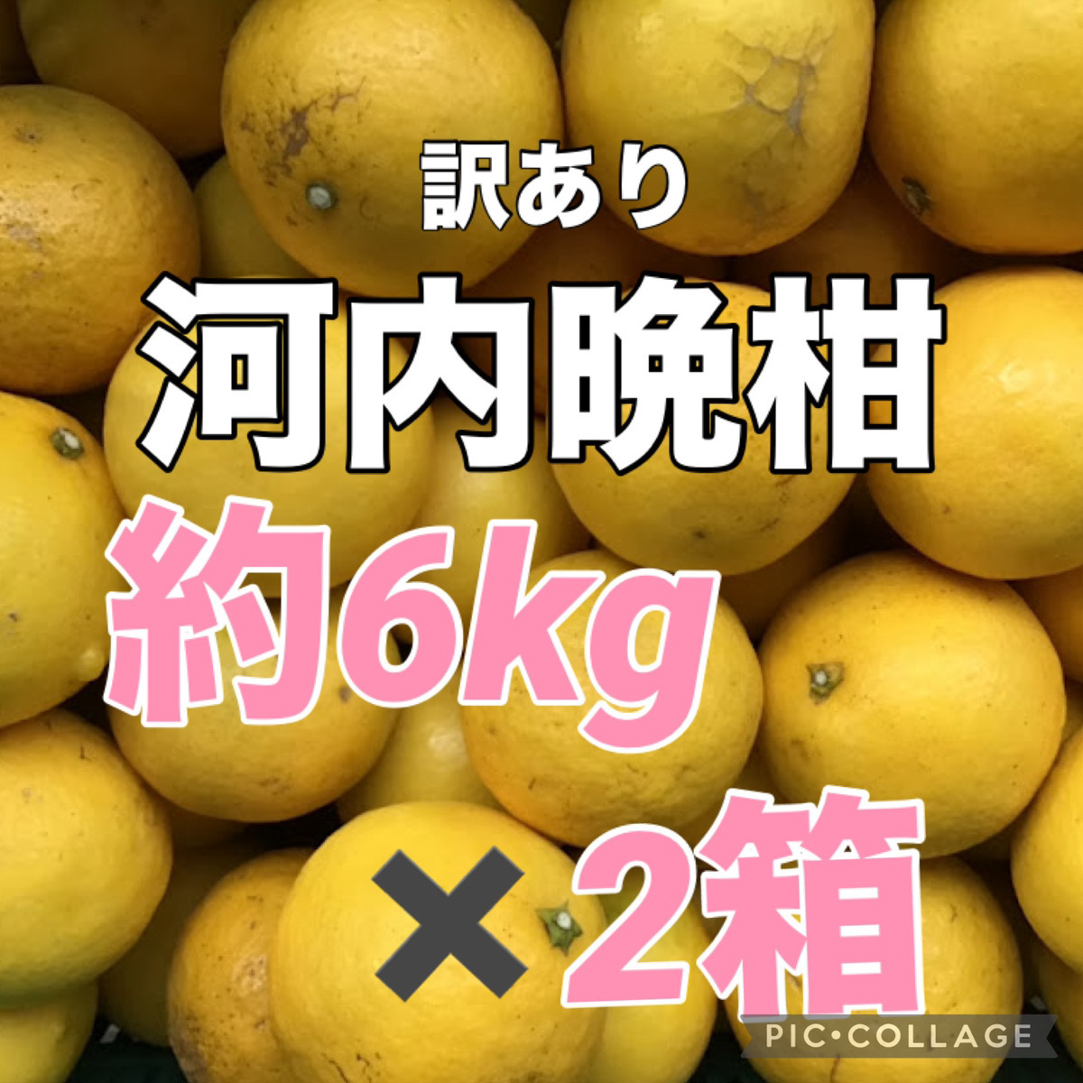 ②訳あり 河内晩柑 箱込み重量約6kgを２箱 計約12kgでお届け 訳あり  愛媛県産 柑橘 地域限定配送です 商品説明お読みくださいの画像1