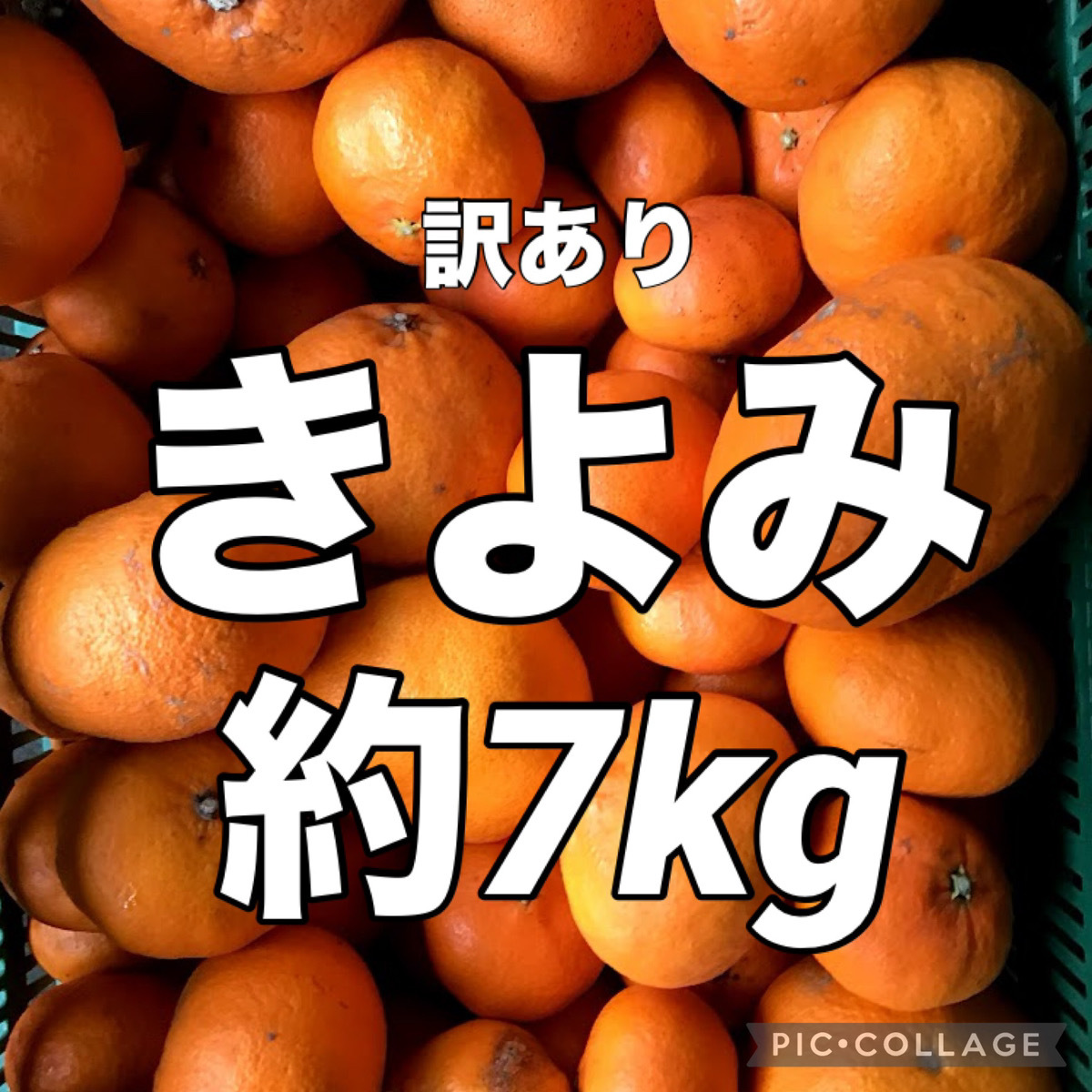 ②訳あり きよみ 清美オレンジ 約7kg 愛媛県産 商品説明お読みください みかんの画像1