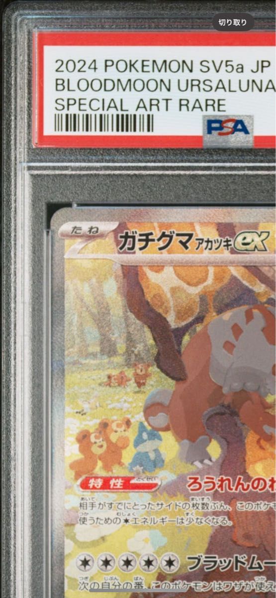 ガチグマ アカツキex SAR [SV5a 091/066] psa10