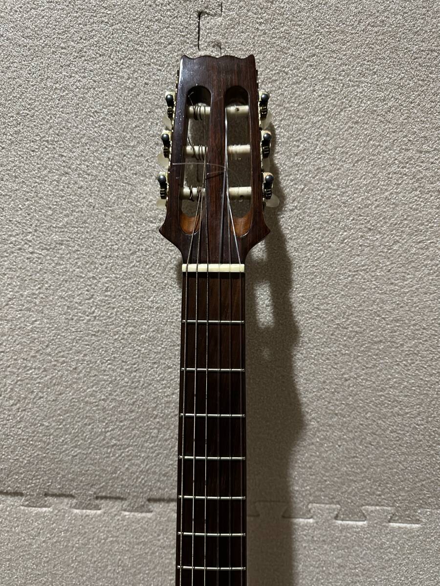 Aria Elecord CES50N エレガットギターの画像3