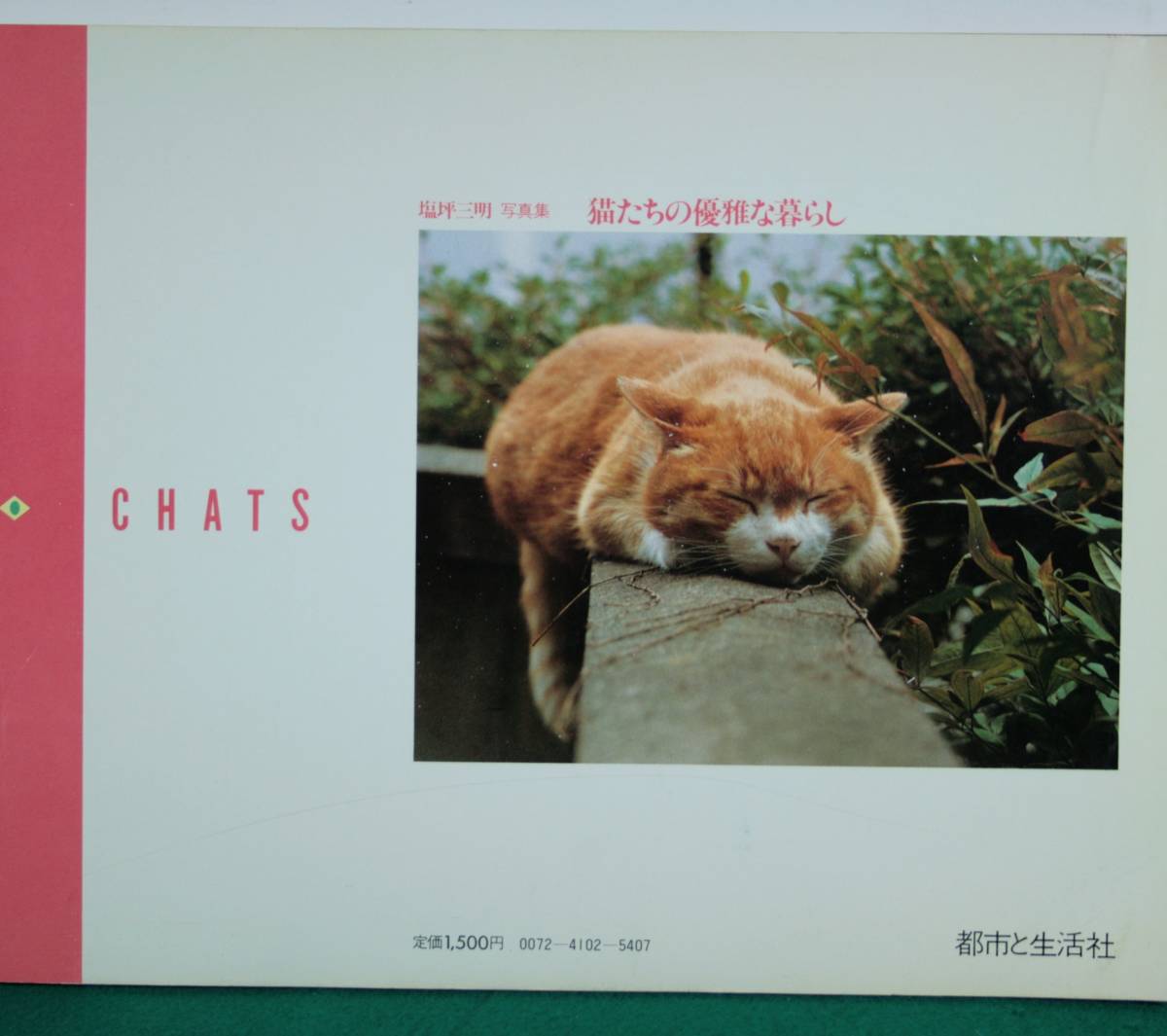 雑誌　猫たちの優雅な暮らし_画像2