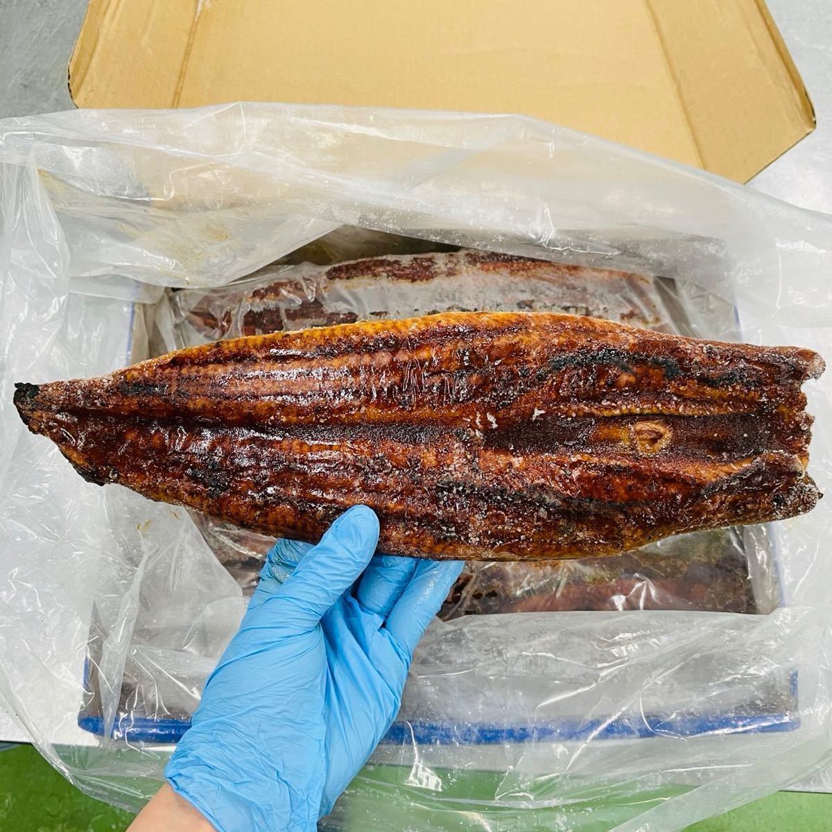 特大サイズうなぎ蒲焼き　5kg　約10尾 　数3_画像2