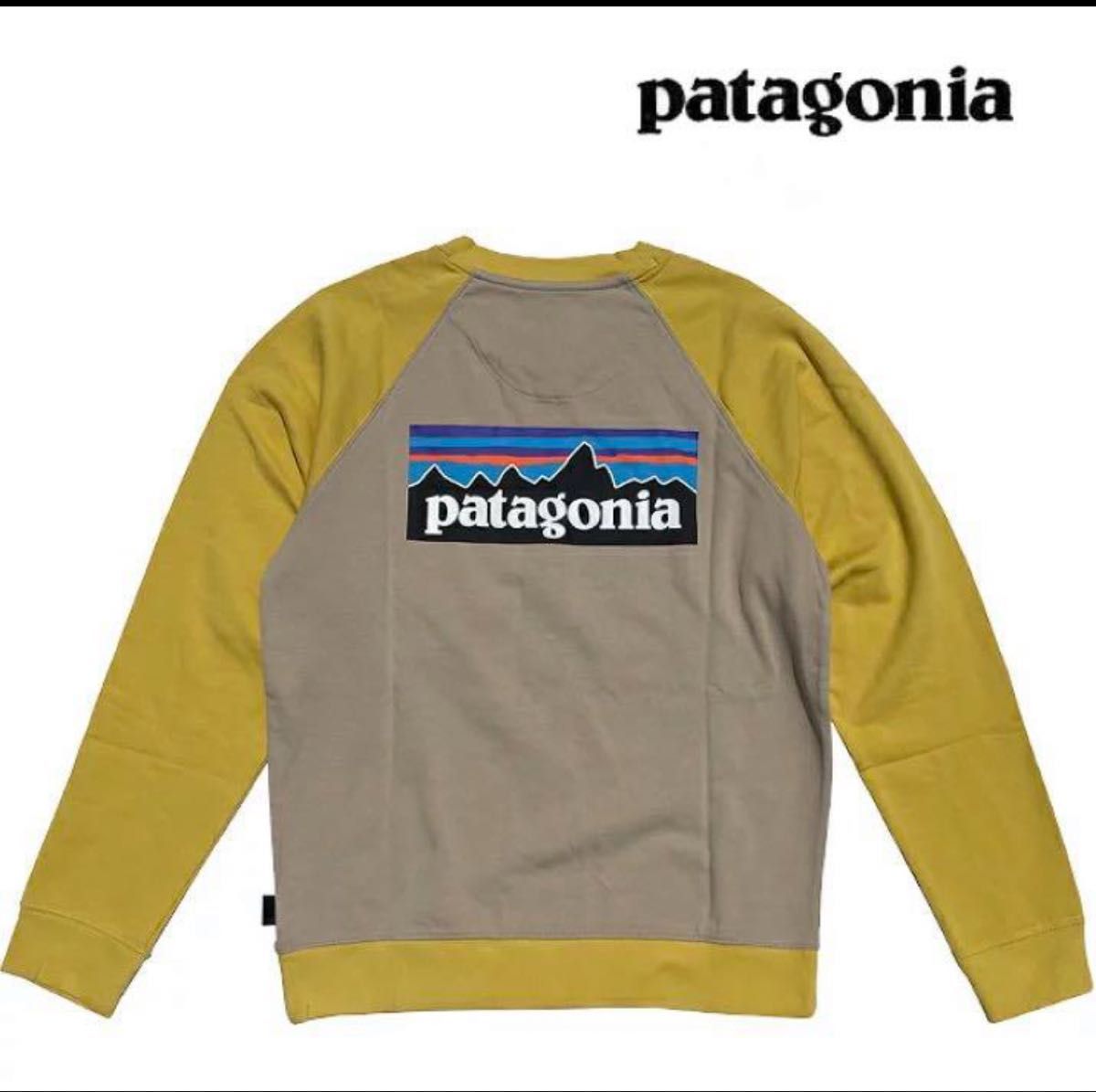 パタゴニア スウェット トレーナー  クルーネック ラグランスリーブ メンズS patagonia レディストレーナー