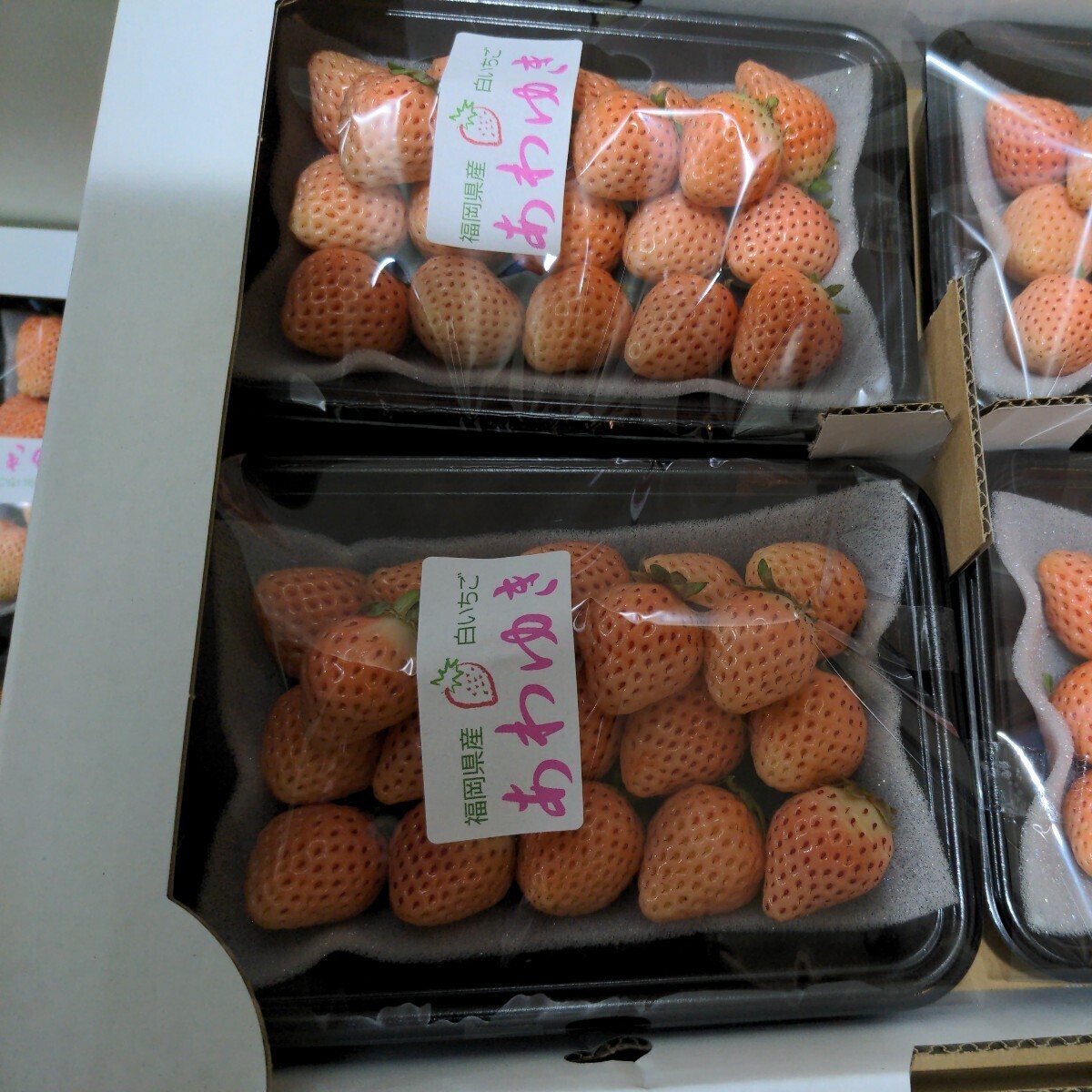 福岡県産（あわゆき）【白イチゴ】4パック入り（高級いちごですので美味しいです。)の画像2