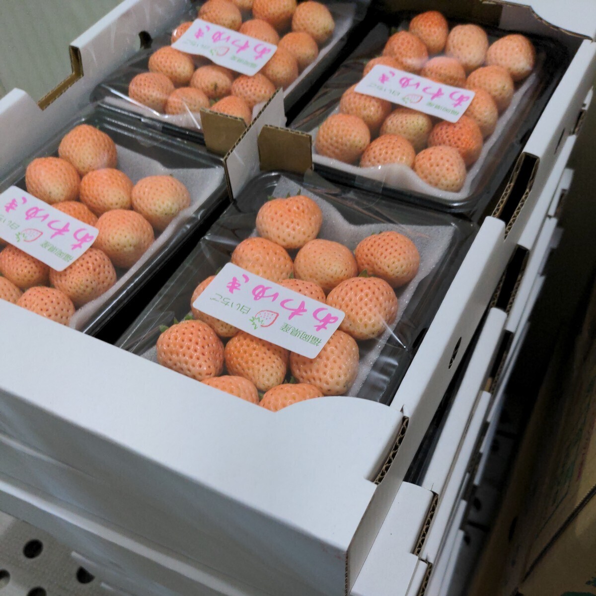 福岡県産（あわゆき）【白イチゴ】4パック入り（高級いちごですので美味しいです。)の画像4