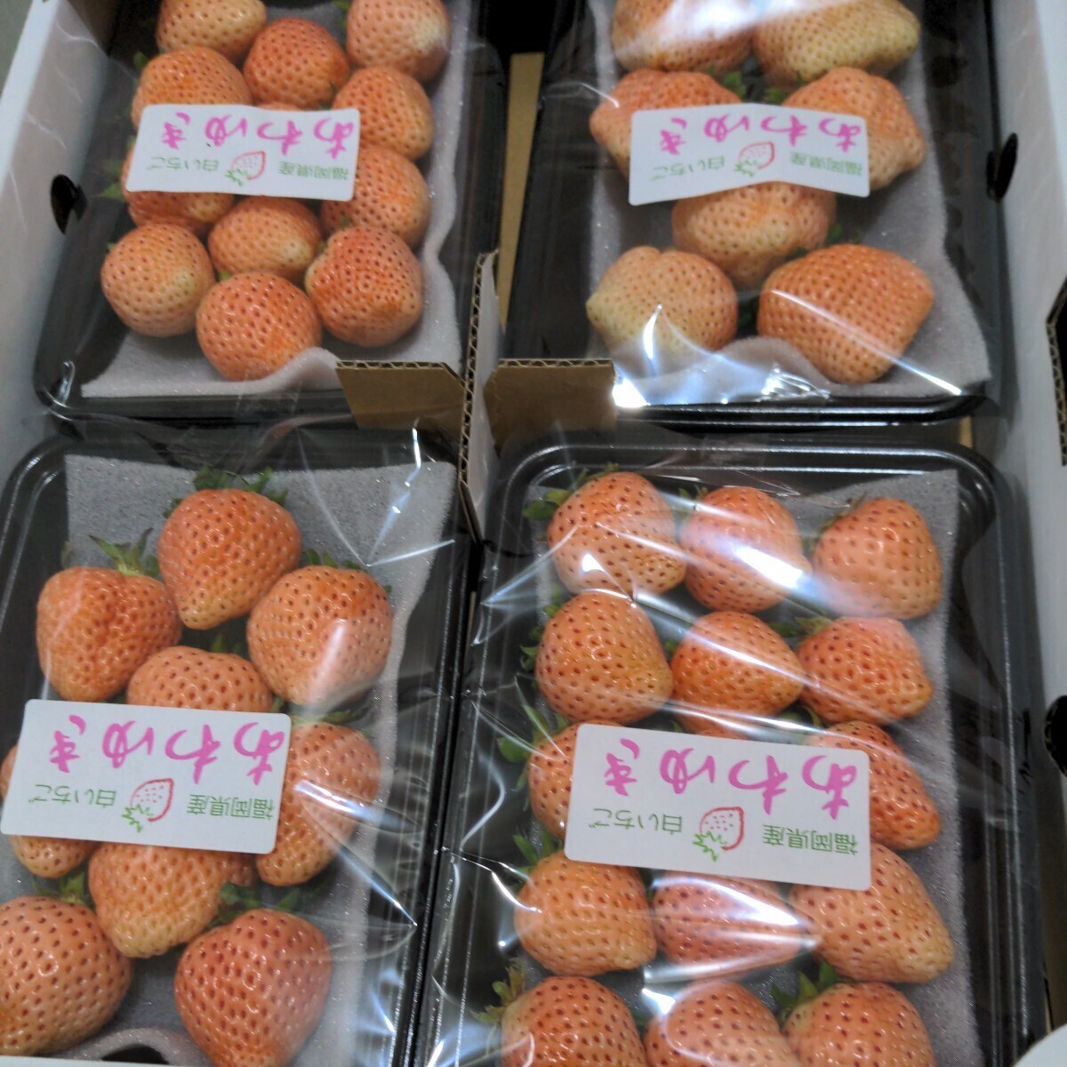 福岡県産（あわゆき）【白イチゴ】4パック入り（高級いちごですので美味しいです。)の画像1
