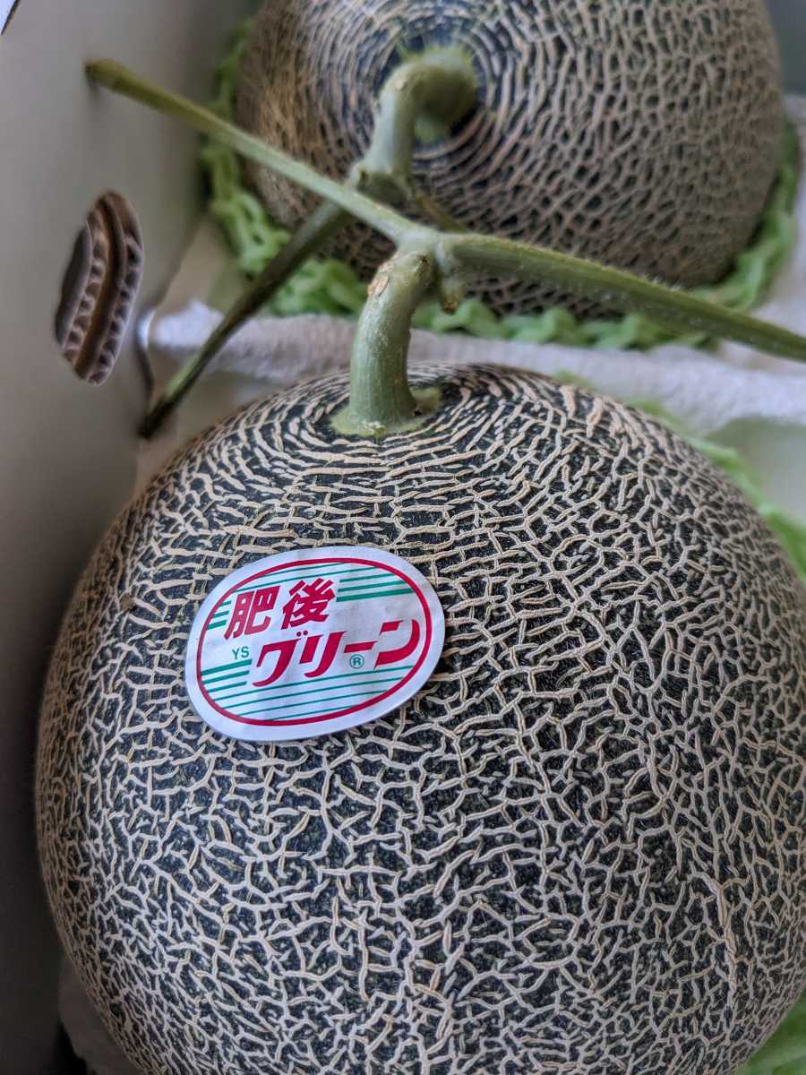 熊本県産【肥後グリーンメロン】1,5前後×2個玉入り一番なりですので美味しいです。_一番なりですので美味しいです。