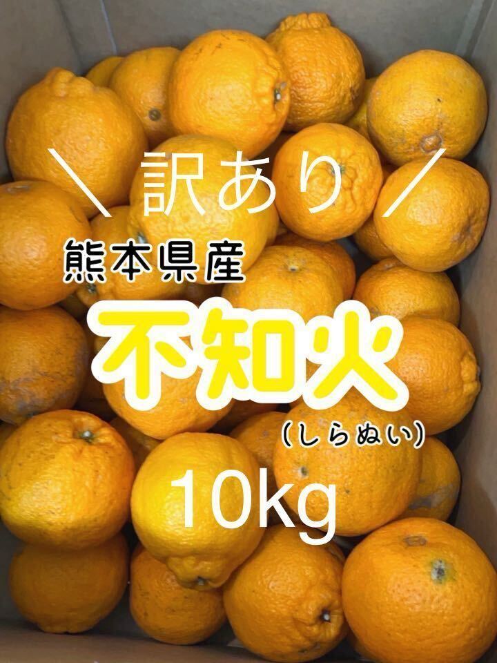 【激安】規格外 不知火、デコポン 10kg 家庭用 熊本県産_画像1