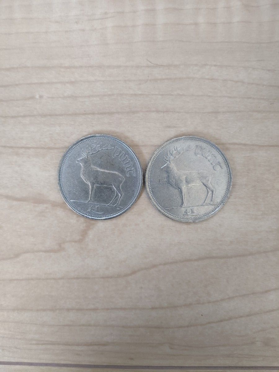 1998年 アイルランド 1ポンド硬貨 2枚