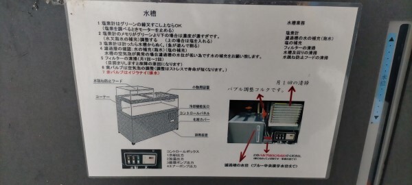 ニッタケ 活魚 水槽 置台セット 兵庫県 神戸市中央区発 W1800×D600×H600(台850)mm nittake 大型 中古 ジャンク 直接引取/近隣配送のみの画像9