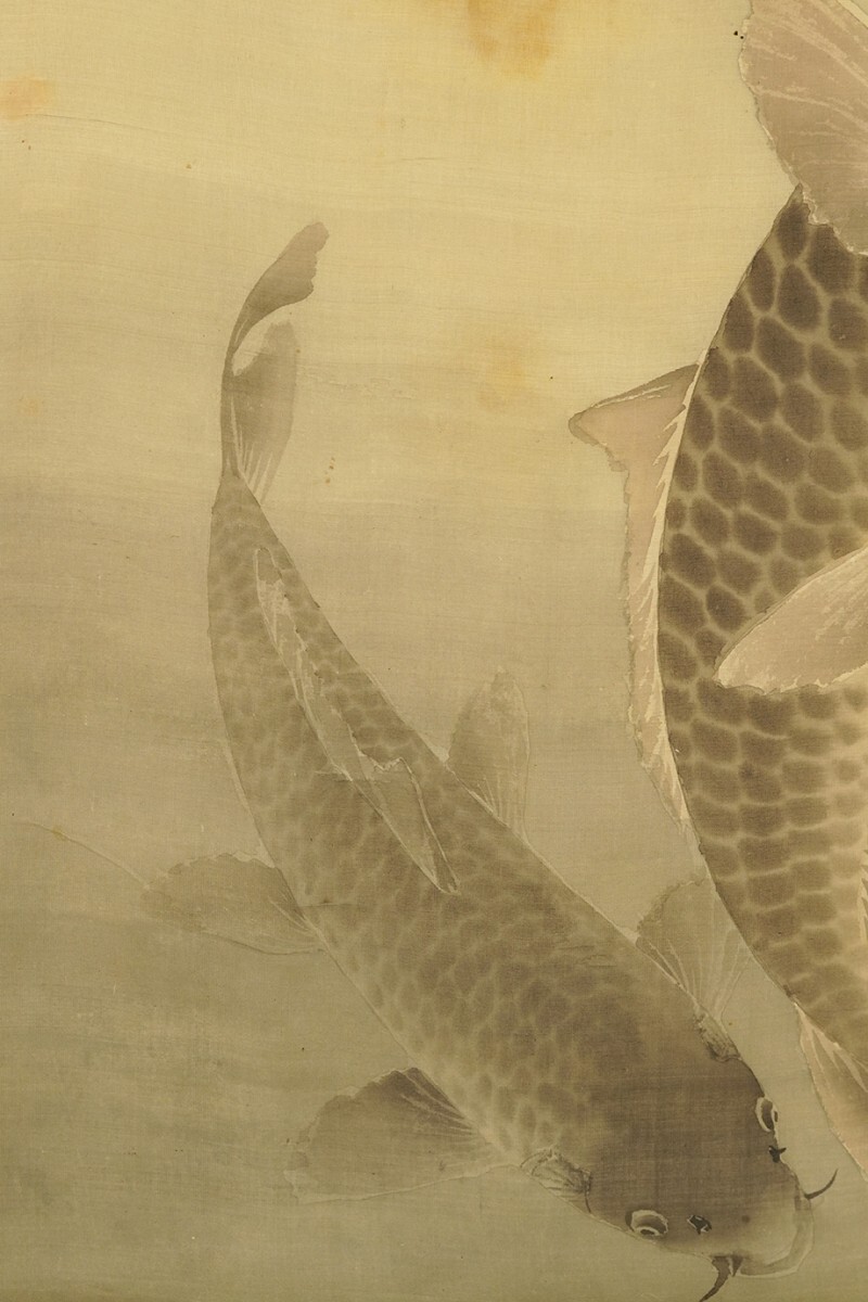 [ genuine work ] hanging scroll [ small field .. month under . common carp map ] curtain end Meiji black rice field ... under Tottori . last. ... animal picture picture 