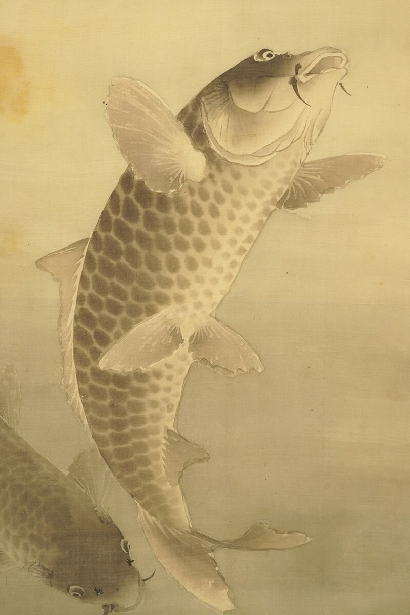 [ genuine work ] hanging scroll [ small field .. month under . common carp map ] curtain end Meiji black rice field ... under Tottori . last. ... animal picture picture 