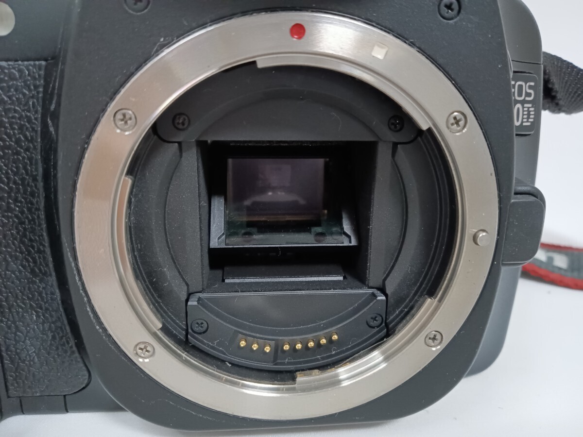 Canon キャノン EOS 30D EF 28-105mm f/3.5-4.5 一眼レフ デジタルカメラ　F22_画像4