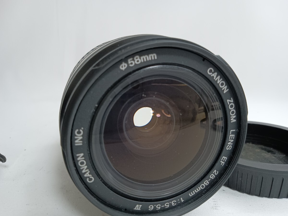 Canon キャノン EOS Kiss フィルムカメラ + CANON ZOOM LENS EF 80mm f5.6 IV + EF 50mm F/1.8 II  T23の画像8