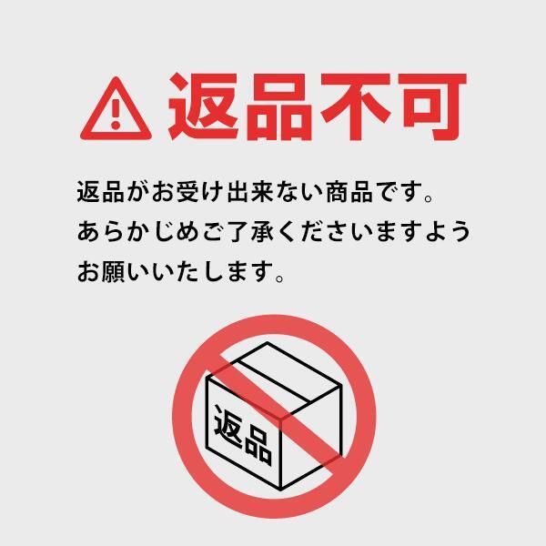 WPT 農業用 樹脂製 養生敷板 ディバン 厚型 4尺×8尺判 片面凸 10枚 (1219×2438×15mm) [プラシキ 樹脂板 敷鉄板 ゴムマット YT847_画像5