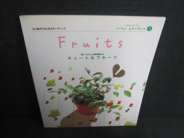 Fruits キュートなフルーツ　日焼け有/UAV_画像1