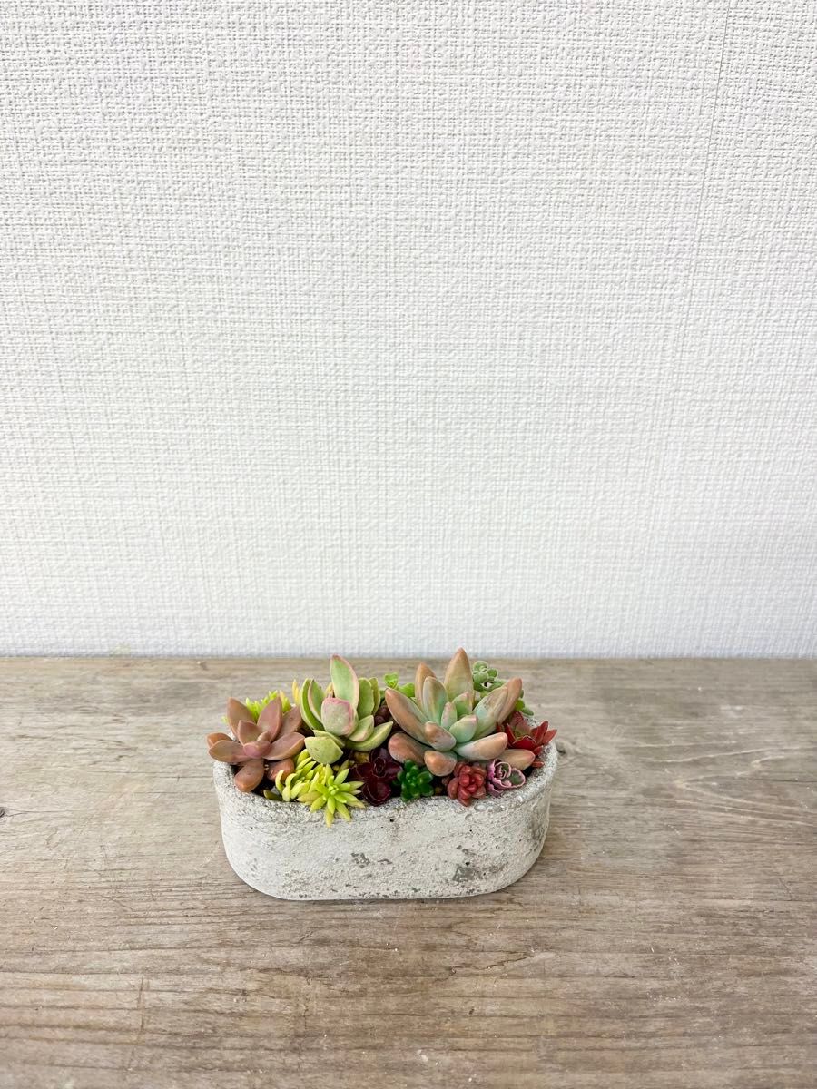 オシャレセメント植木鉢　4個セット