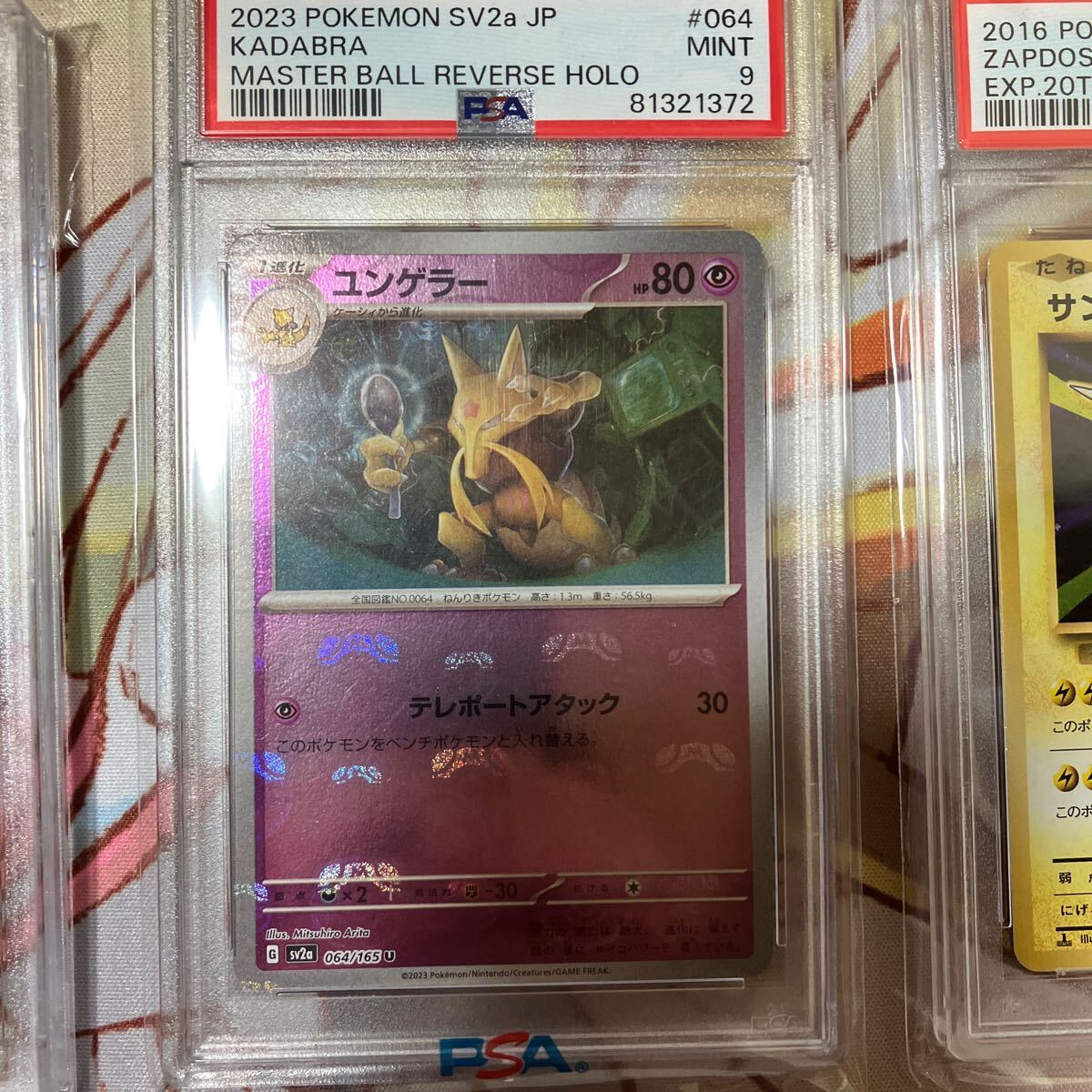 ポケモンカード テールナー chr ユンゲラー マスターボール サンダー 20th PSA BGS まとめ売りの画像3