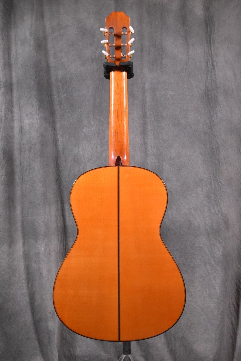 * Aria/ Aria flamenco guitar / gut guitar AC100F *