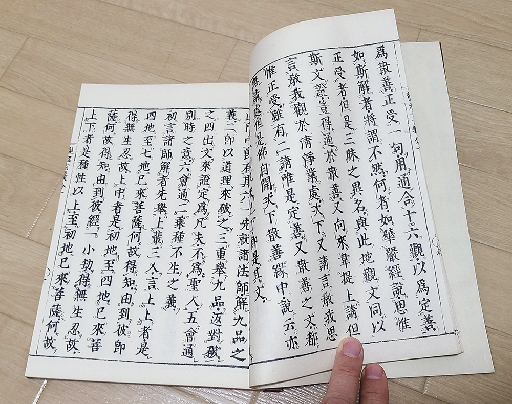 (14) 本 「善導大師 五部九巻」和装本9冊揃い 善導義山 / 宗教 僧侶 仏教 仏具 寺院 古書の画像5