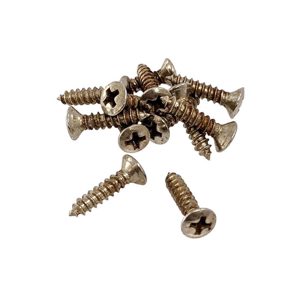 YJB PARTS Relic Screws レリックネジ (インチ)Fタイプピックガード用 12本入り (メール便対応)の画像1