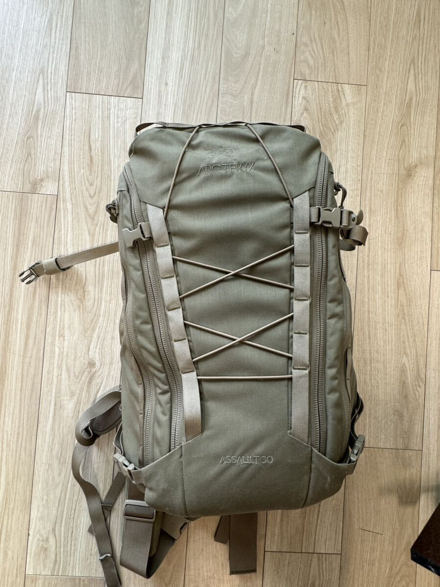 Arc'teryx leaf ASSAULT PACK 30 - Crocodileリュック バックパック ザック の画像1