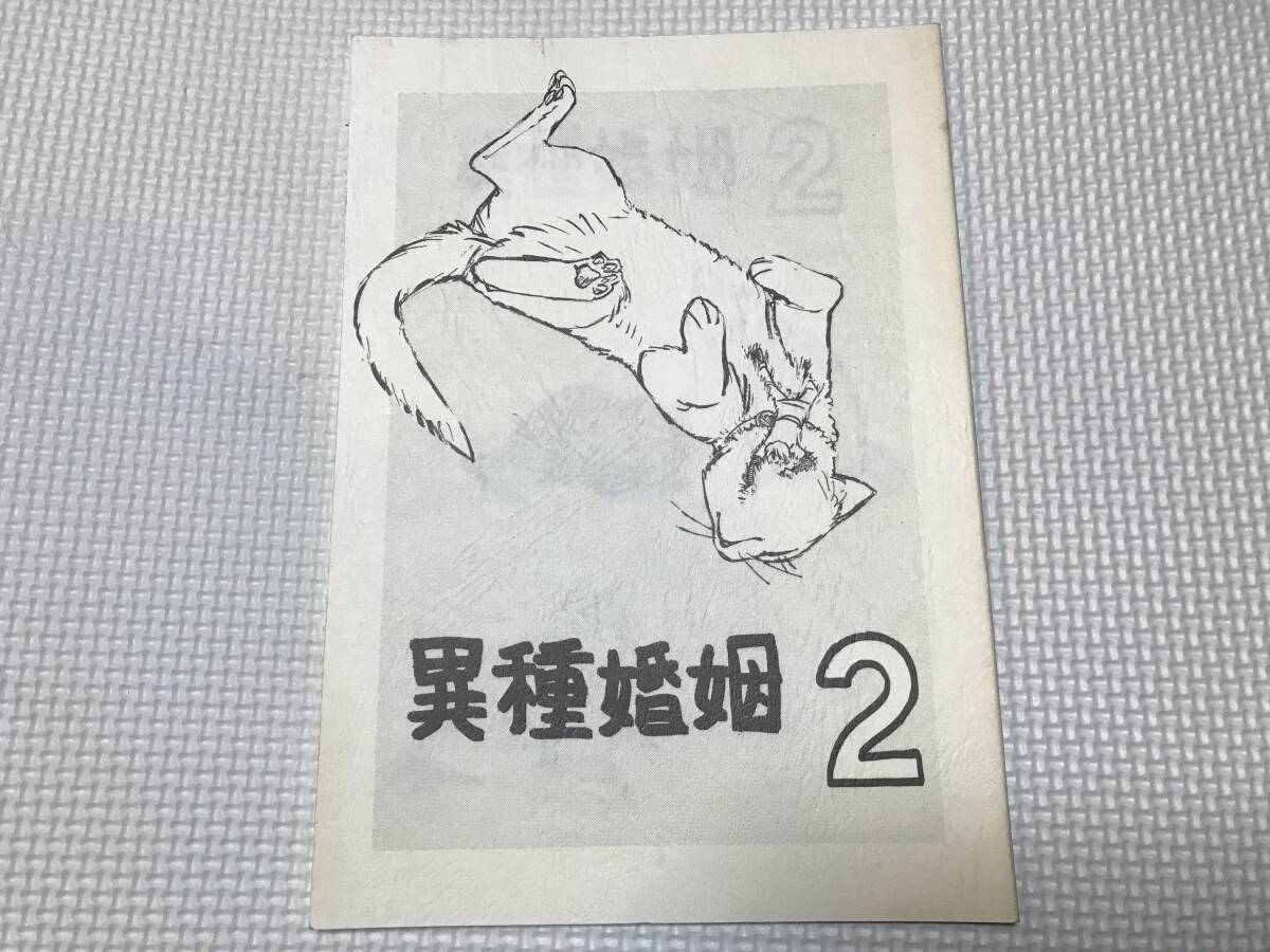 KSH49 DUCHESS２ ダッチェス 安藤正浩 ファンタジー 獣人 猫の画像1