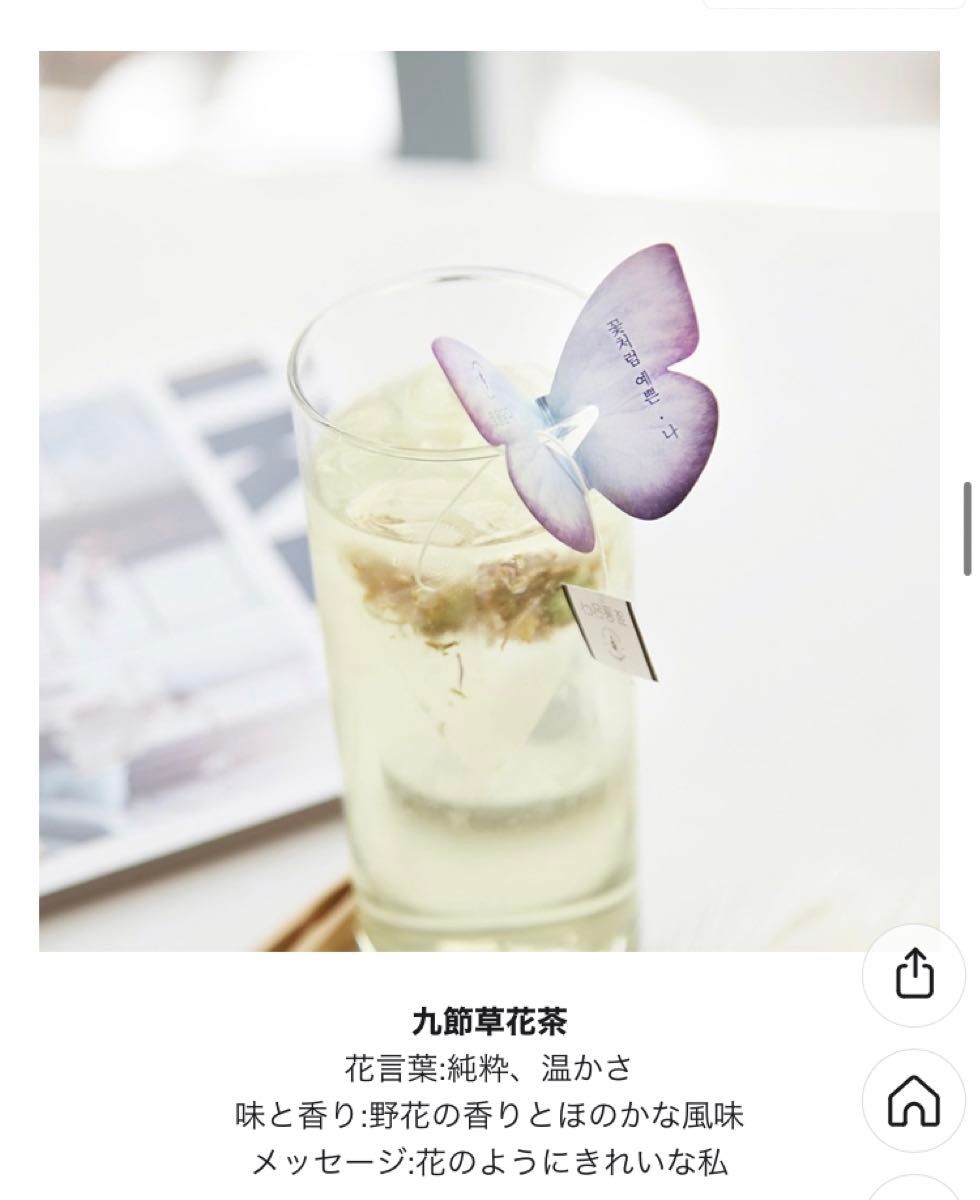 KKOKDAM コッダム 花茶 蝶々 FlowerTea サンプルパック6種類