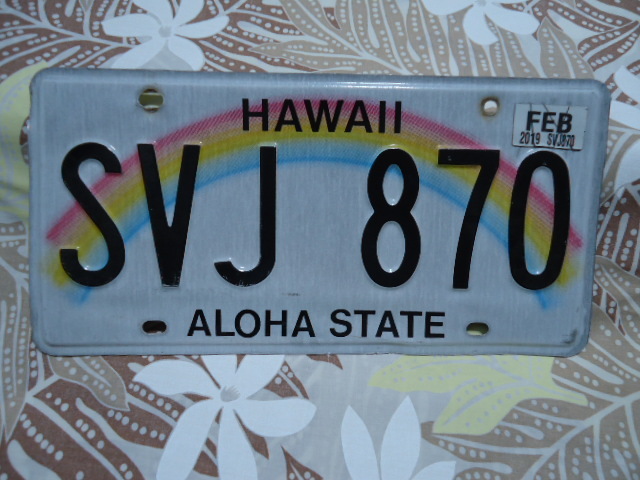 ハワイ　2019年製　ライセンス　ナンバープレート　レインボー　SVJ 870　本物_画像1