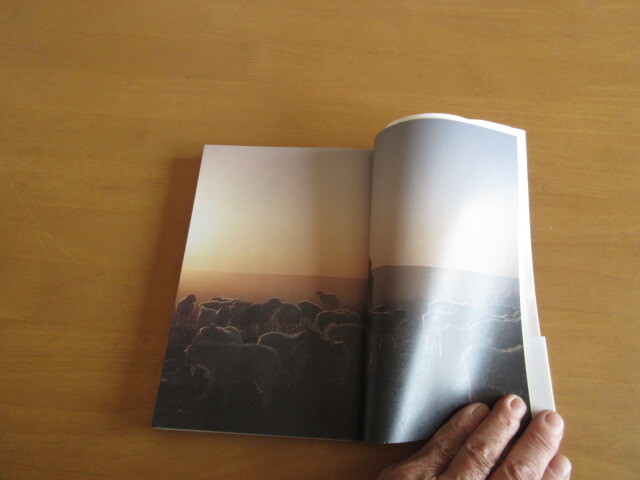 モンゴル　風物詩　　ことわざに文化を読む　　小長谷有紀　　東京書籍　　1992年6月　帯付き　　単行本_画像2