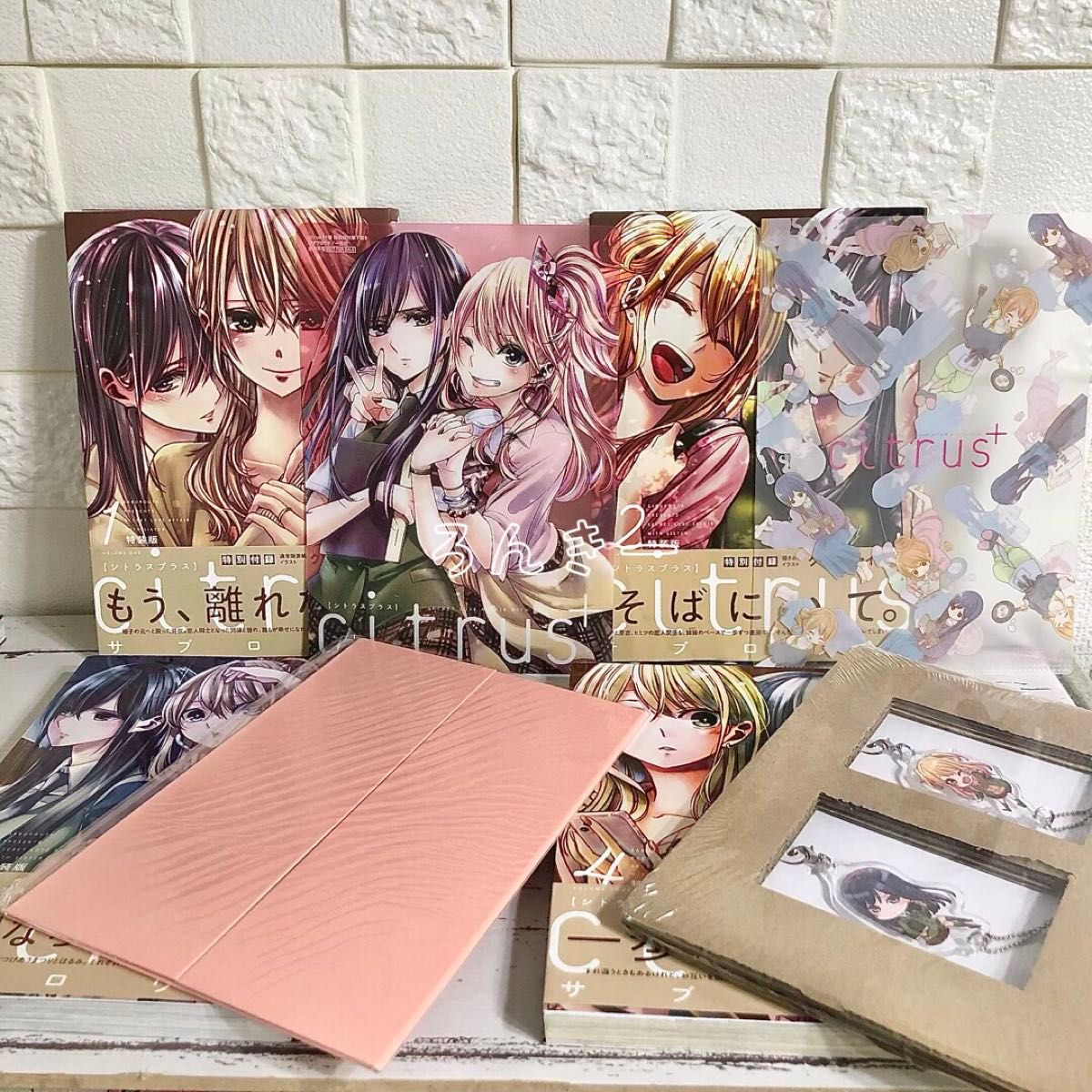 citrus citrus+ シトラス ワイド版 サブロウタ 特装版 全巻 citrus citrus+ シトラス ワイド版 サブロウタ 特装版 全巻