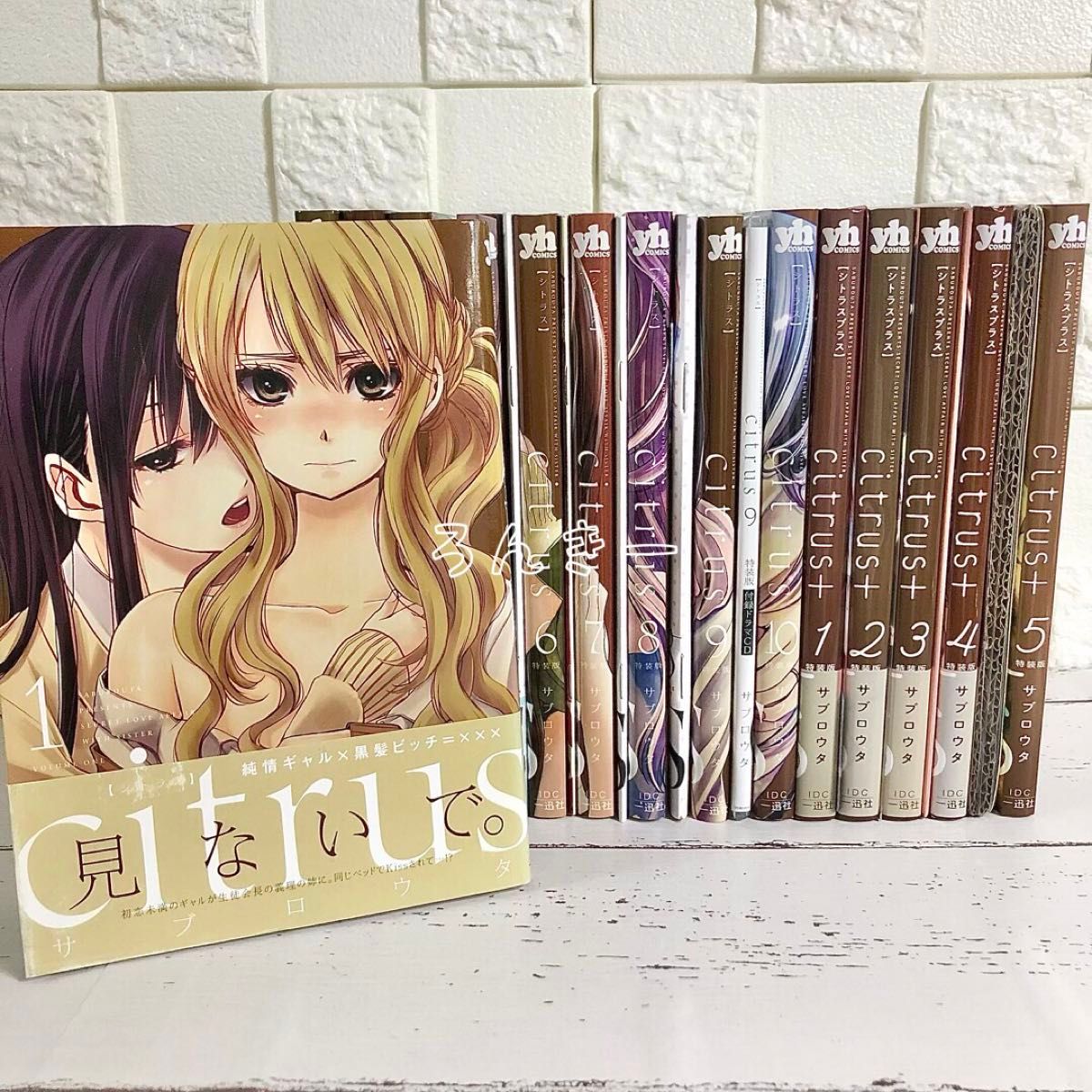 citrus citrus+ シトラス ワイド版 サブロウタ 特装版 全巻 citrus citrus+ シトラス ワイド版 サブロウタ 特装版 全巻