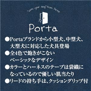 【新品】（まとめ）Porta カラー S シルバーグレー【×5セット】 (犬用品/首輪)_画像3