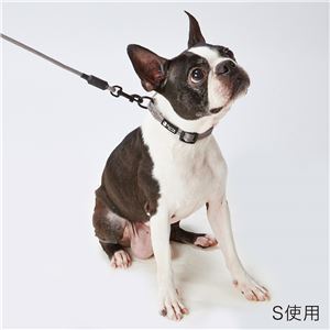 【新品】（まとめ）Porta カラー S シルバーグレー【×5セット】 (犬用品/首輪)_画像2