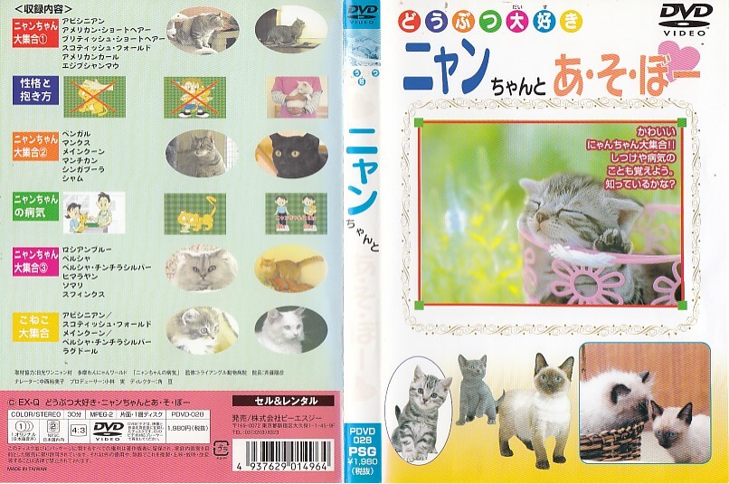 2421 ケース無し【犬猫色々※5枚セット】犬 猫 ワンちゃん ニャンちゃん 生き物 ＊他にも多数出品中 ＊10枚まで同梱可能250円 の画像3