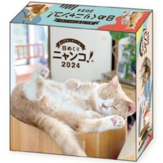 公式売り切れ！日めくりニャンコ！2024 カレンダー ネコ 猫 ねこ メモ帳