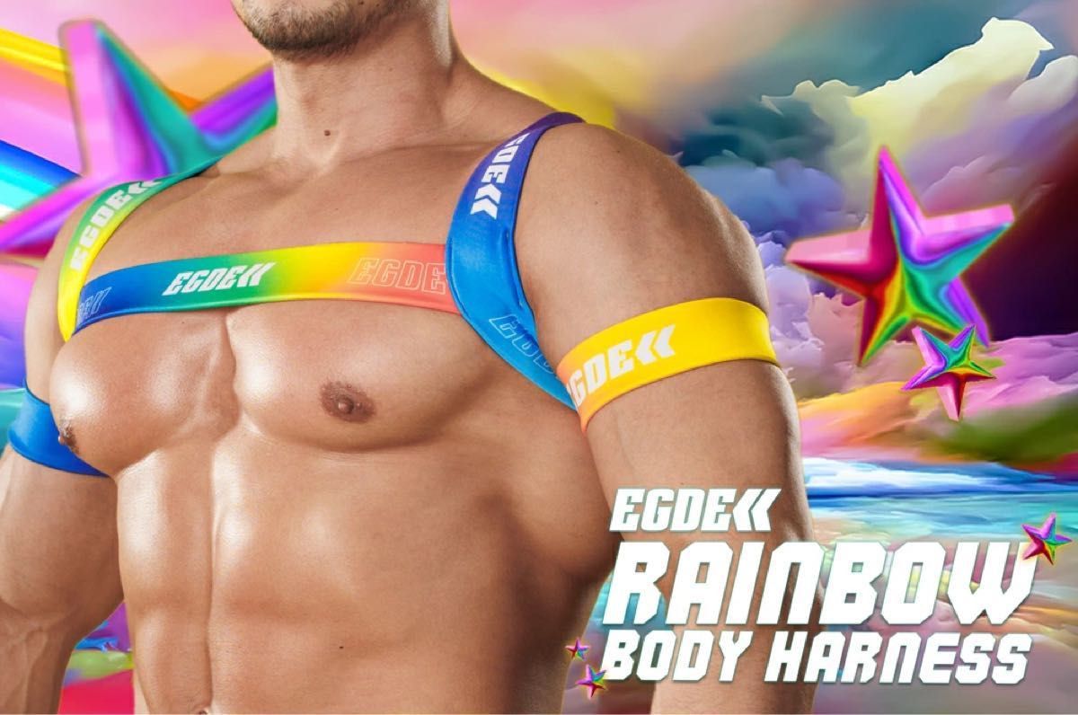 EGDE RAINBOW ハーネス＆アームバンドset レインボー　L-XL  ビキニ