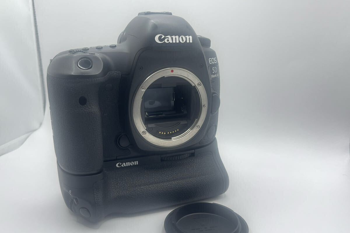 Canon EOS 5D MarkⅣの画像7