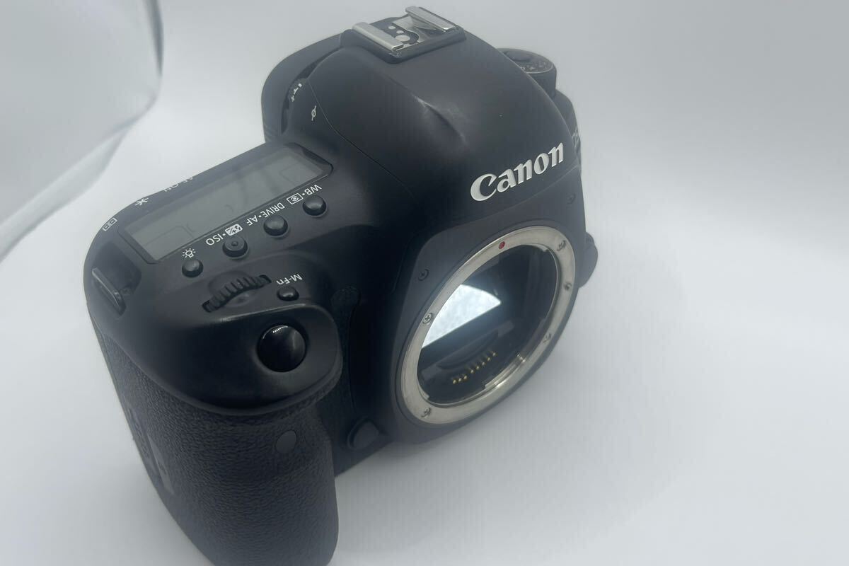 Canon EOS 5D MarkⅣの画像4