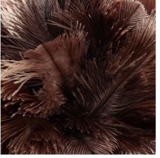 送料無料 未使用品 ダチョウ 毛ばたき 羽毛 フェザーダスター 車 クルマ クリーニング 木製ハンドル付きの画像6
