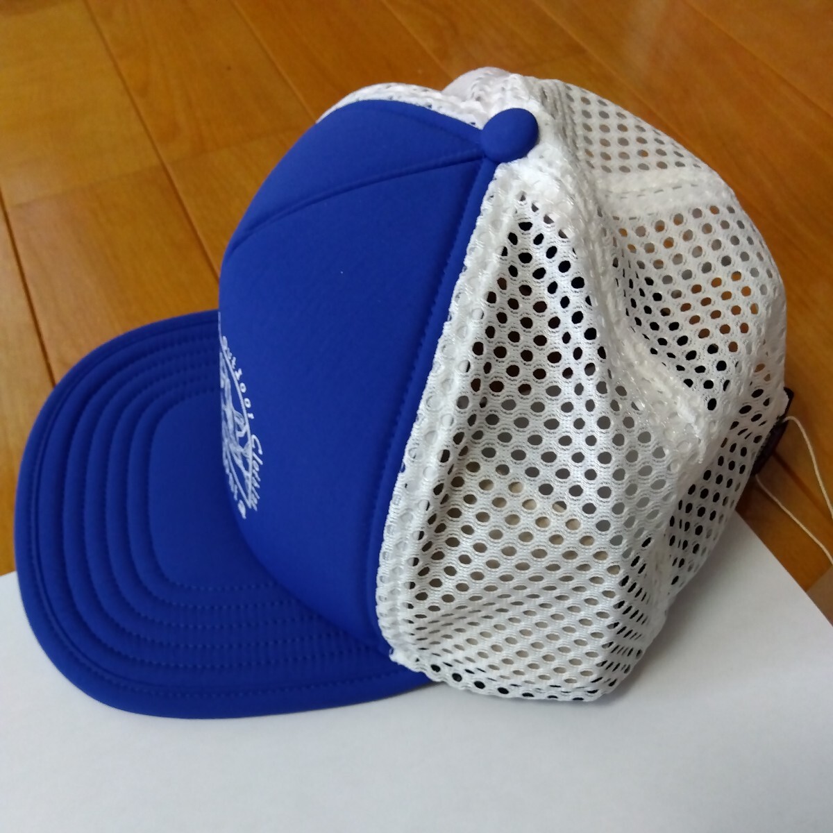 Patagonia パタゴニア　Duckbill Trucker Hat　ダックビル トラッカー ハット　 OS LOST AND FOUND PASSAGE BLUE_画像9