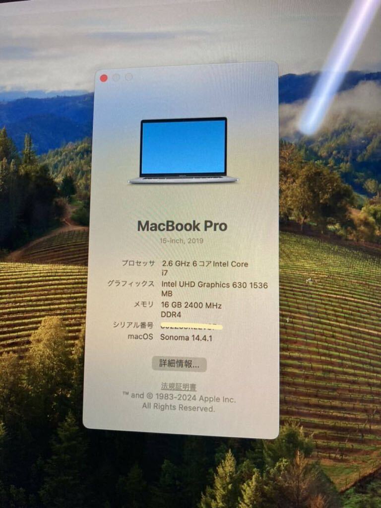 中古☆APPLE MacBookPro A1990 Corei7 2.6Ghz 16GB（９１）の画像9