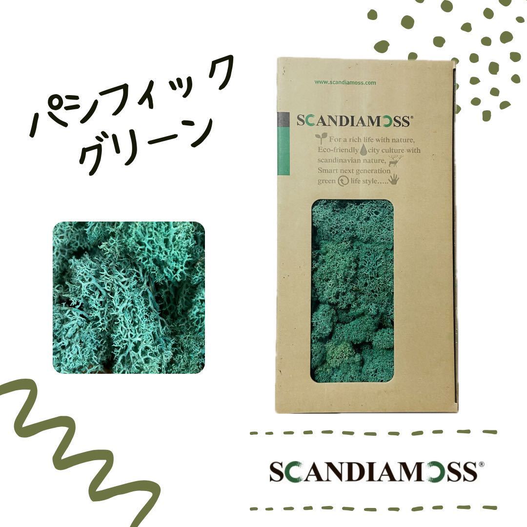  ska ntia Moss SCANDIAMOSS Pacific зеленый 50g дисплей мох Moss зеленый цвет натуральный материалы дезодорирующий эффект 