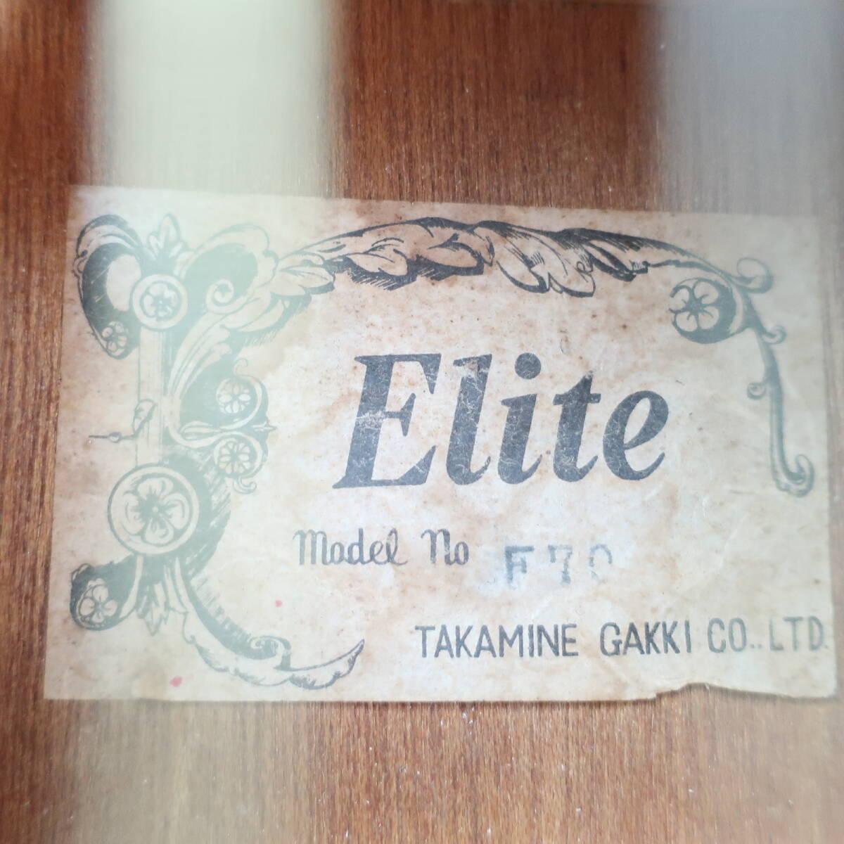 TAKAMINE ELITE F70 アコースティックギター スロテッドヘッド 0フレット仕様 タカミネ楽器/160サイズの画像3